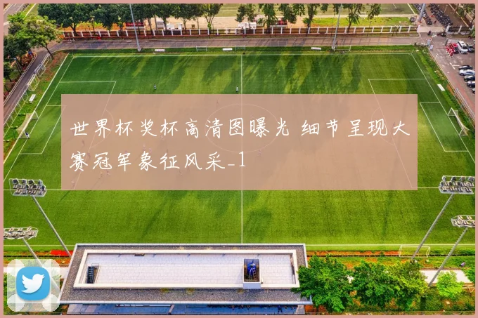 世界杯奖杯高清图曝光 细节呈现大赛冠军象征风采_1