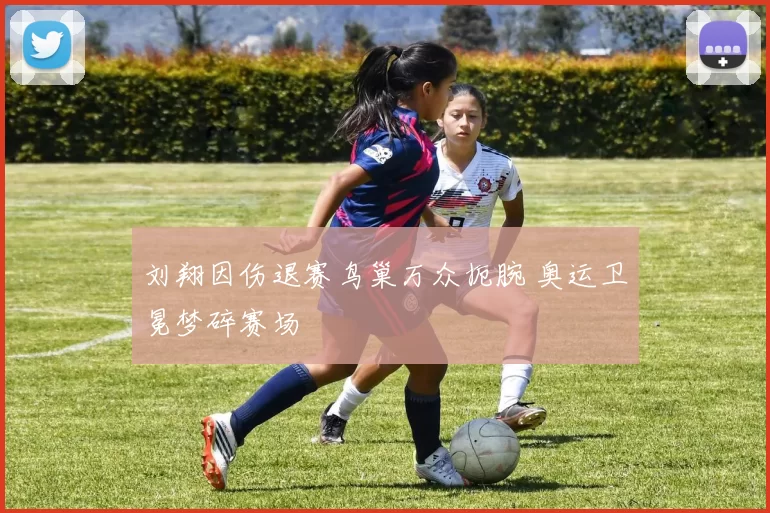 刘翔因伤退赛鸟巢万众扼腕 奥运卫冕梦碎赛场