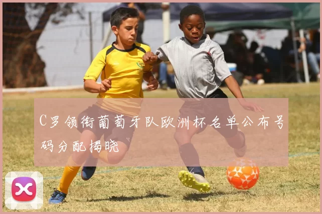 C罗领衔葡萄牙队欧洲杯名单公布号码分配揭晓