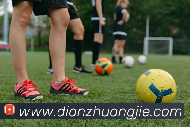 互动解说服务